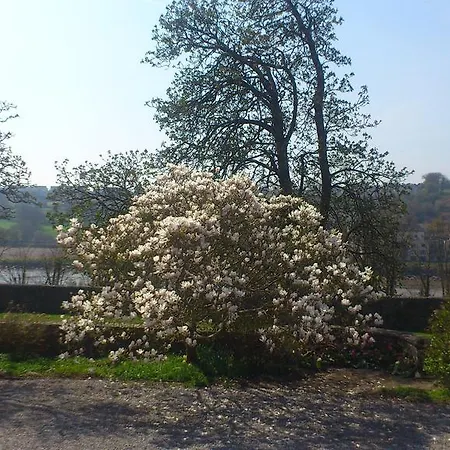 Newrath House X91 Dk 4v *