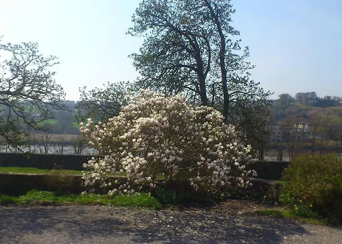 Newrath House X91 Dk 4v *